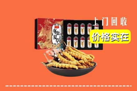 保山市昌宁回收冬虫夏草